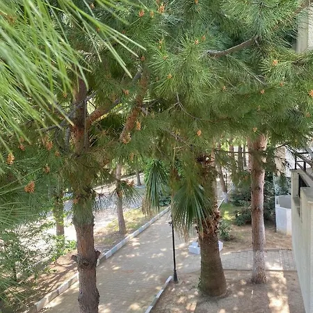 Palm Club Apartmanhotel Kusadası