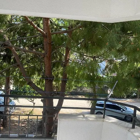 Apartmanhotel Palm Club *