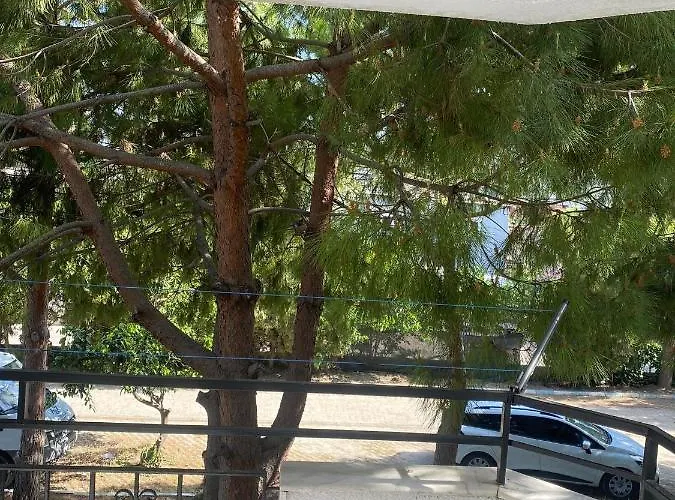 Aparthotel Palm Club *